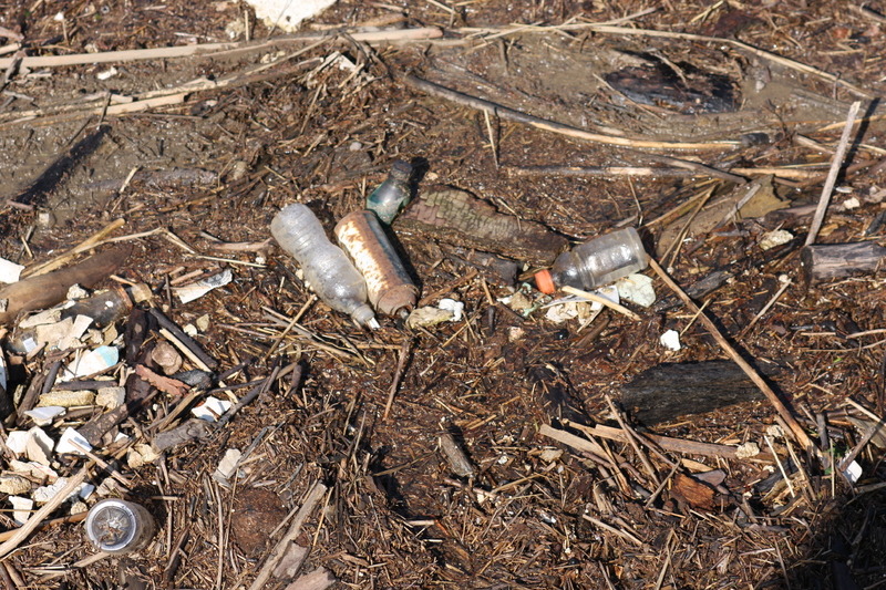 Human Detritus Deposits Following White River Flooding 1